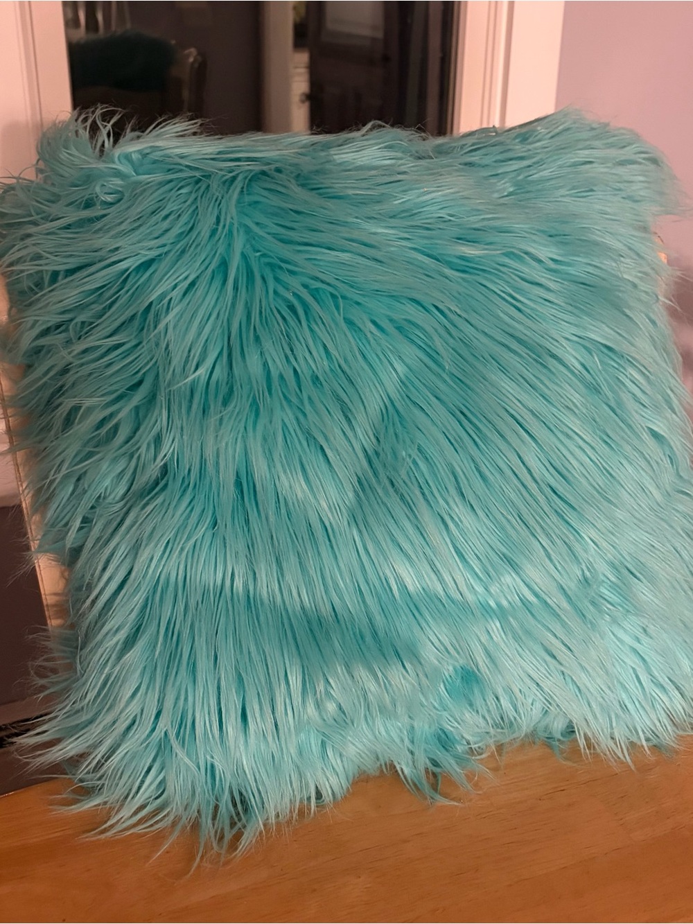 Pottery Barn Teen Teal Faux Fur Accent Pillow